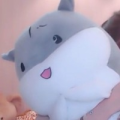 缘来是醉毛