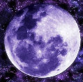 喜欢二次缘的夜夜