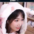 缘来落叶知你我