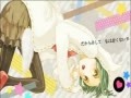 「キャットフード」